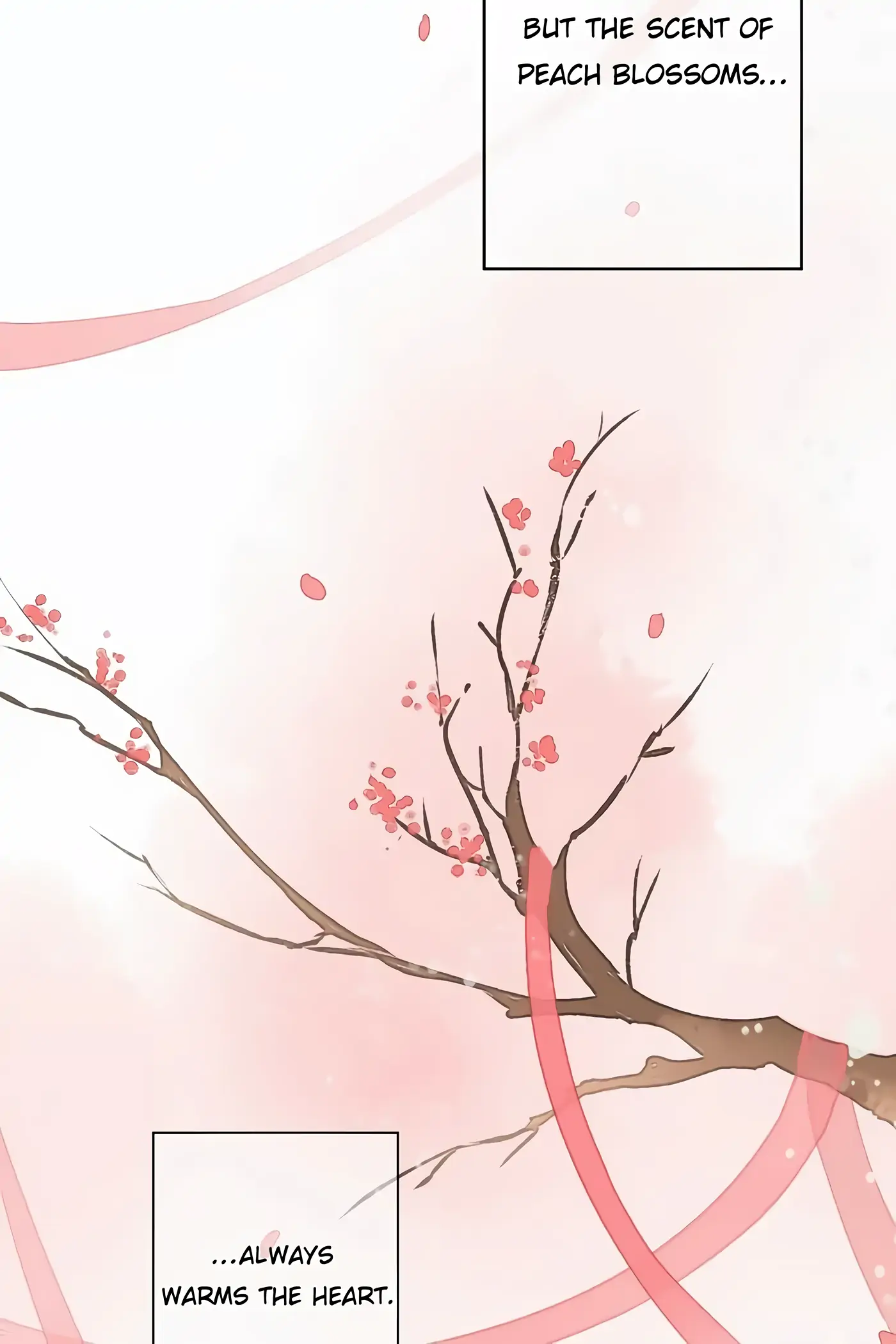 Peach Blossoms - Chapter 80