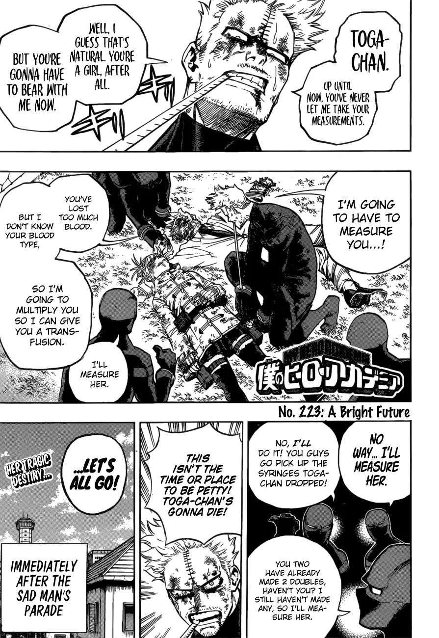 Boku No Hero Academia - Chapter 233: A Bright Future