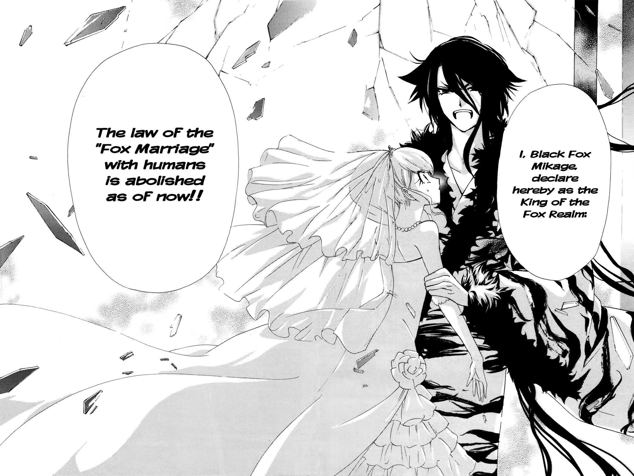 Kitsune No Yomeiri - Vol.7 Chapter 37: It's Not A Lie