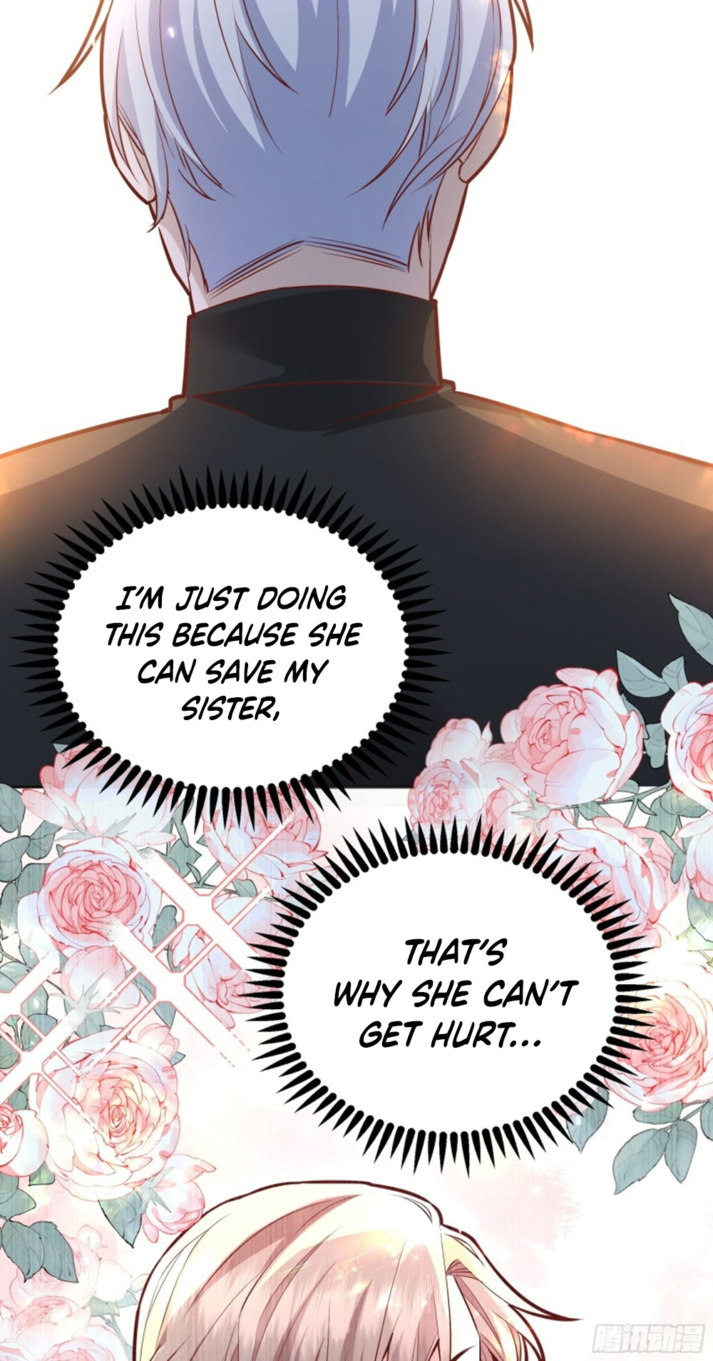 Give The Harem To The Villainess - Chapter 36.5: Side Story: Ilier's Worries