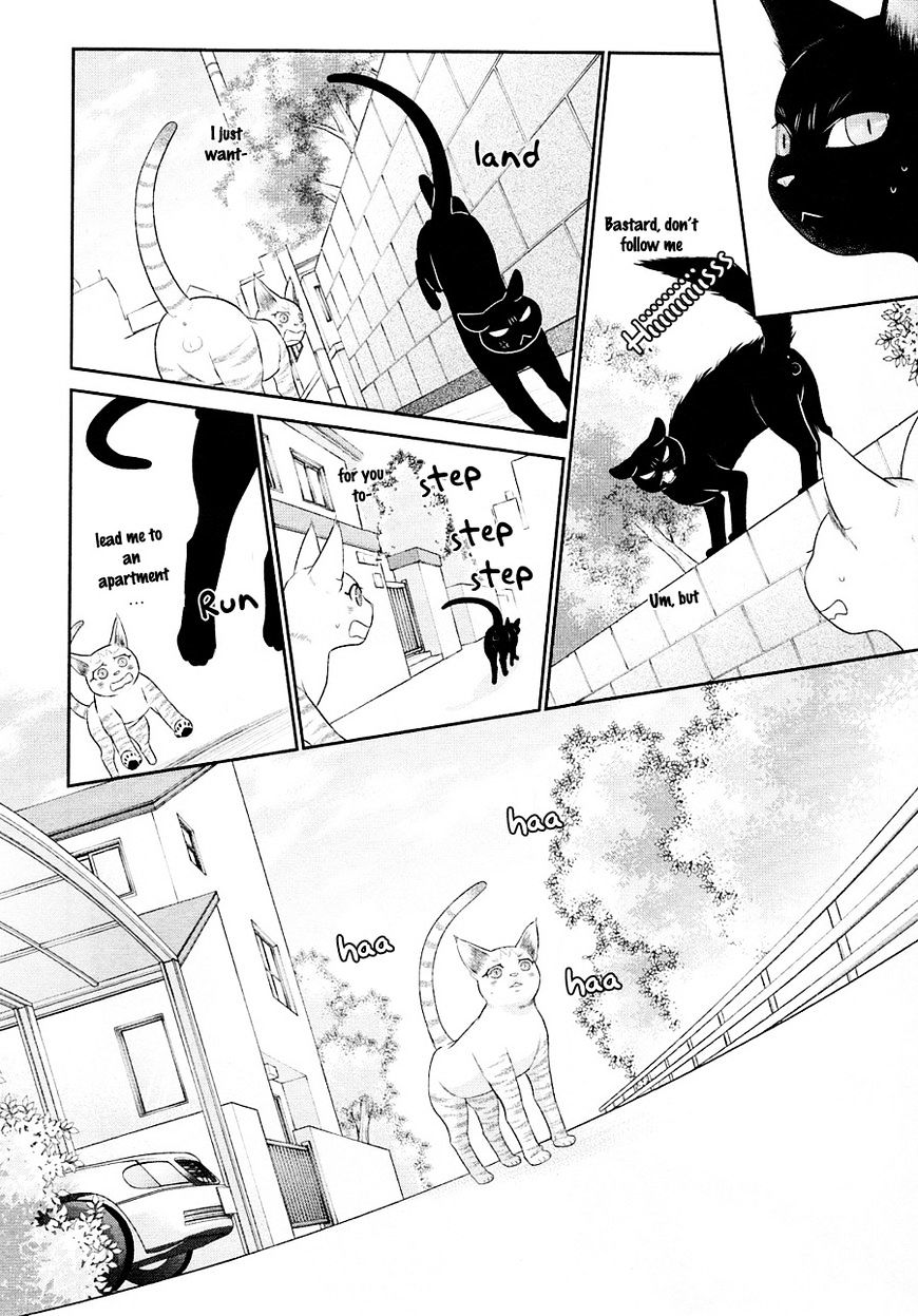 Nekoka Danshi No Shitsukekata - Chapter 23