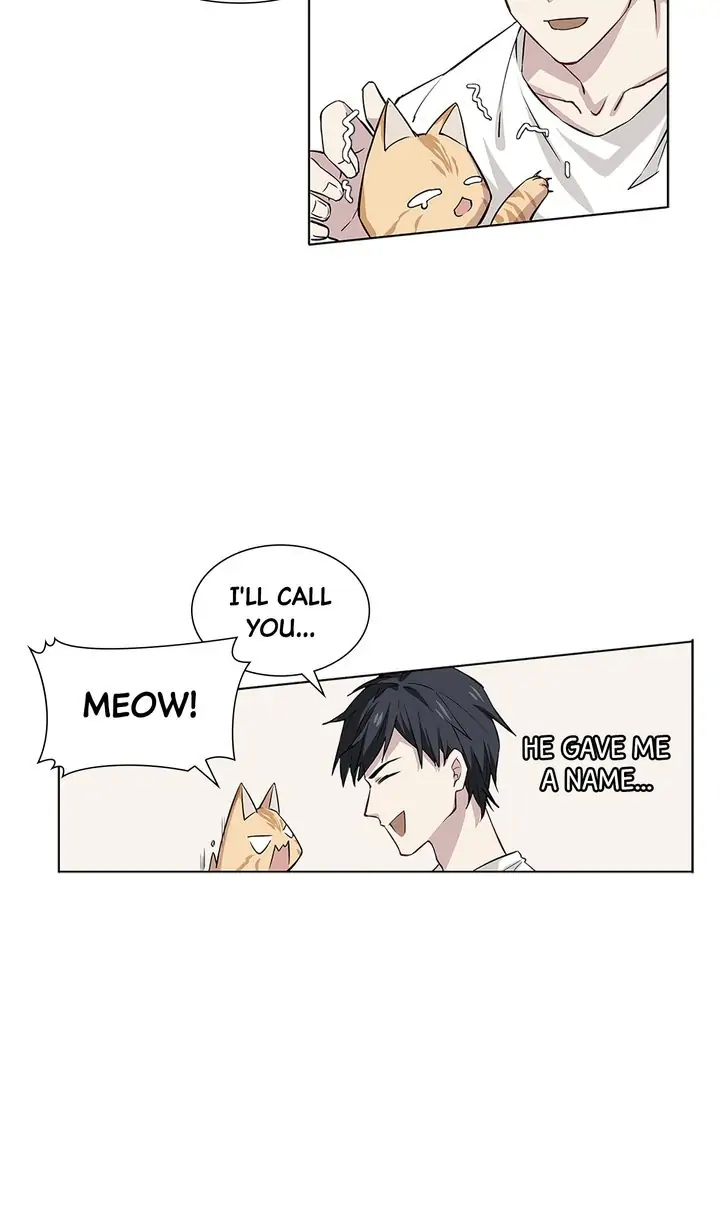 Meow! Please Help, Manager! - Chapter 17