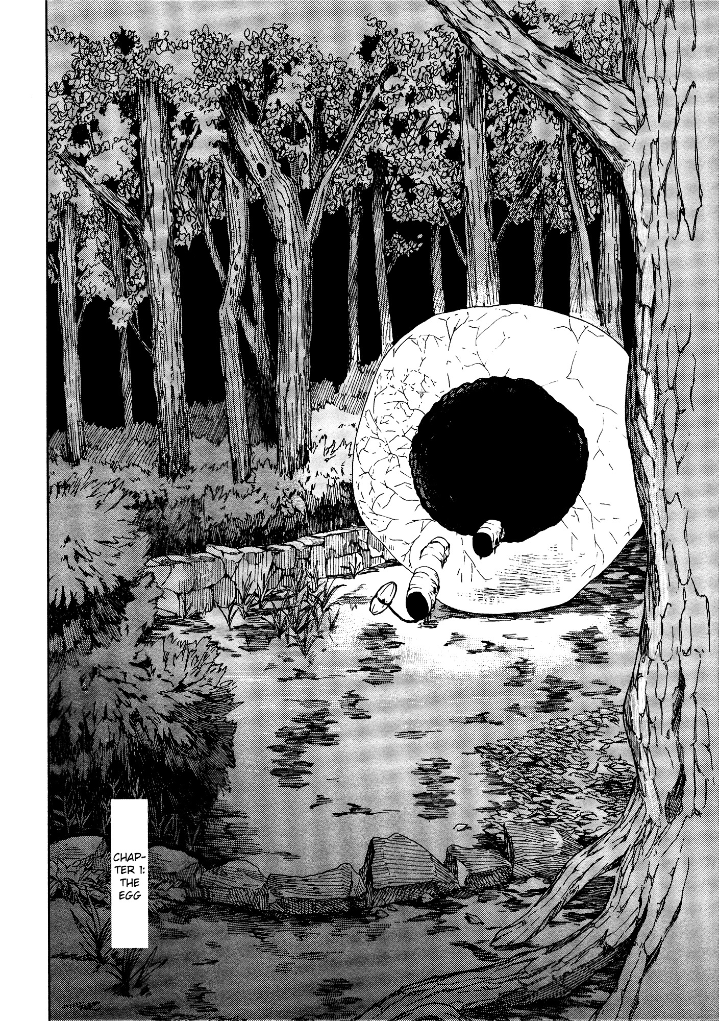 Ogeha - Vol.1 Chapter 1 : The Egg