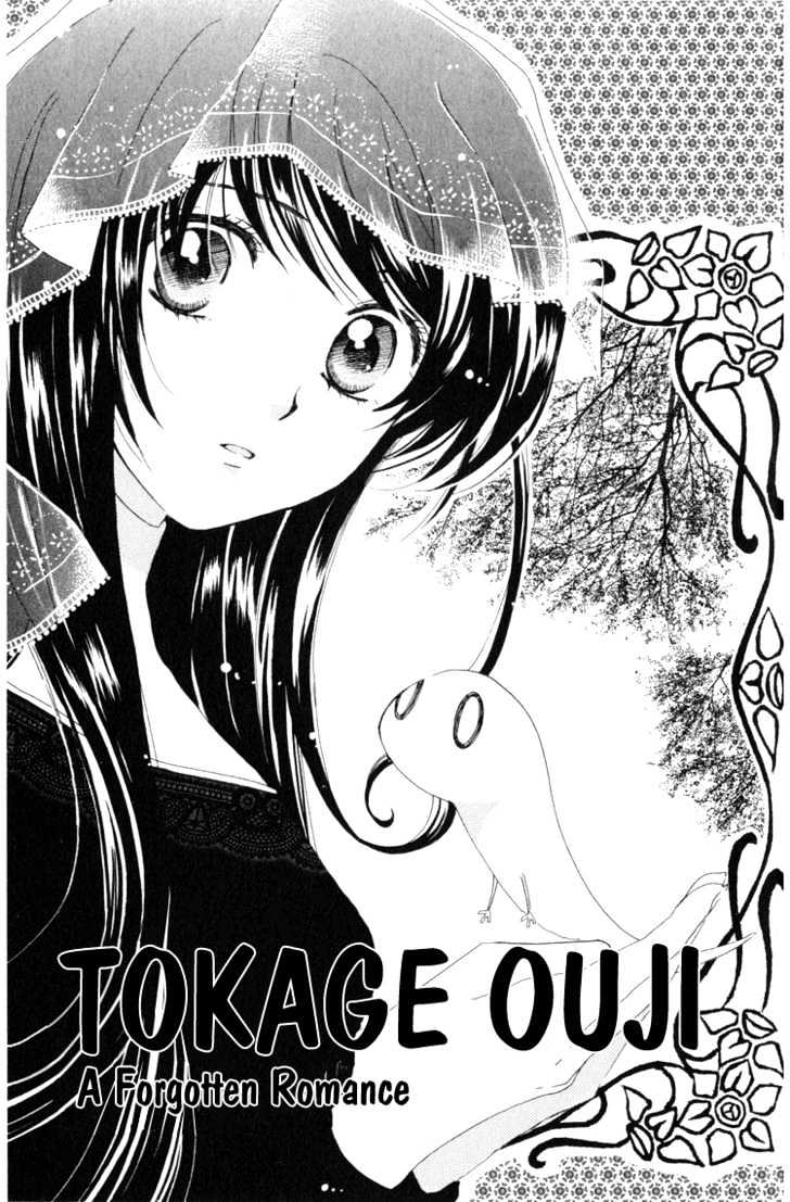 Tokage Ouji - Vol.2 Chapter 6