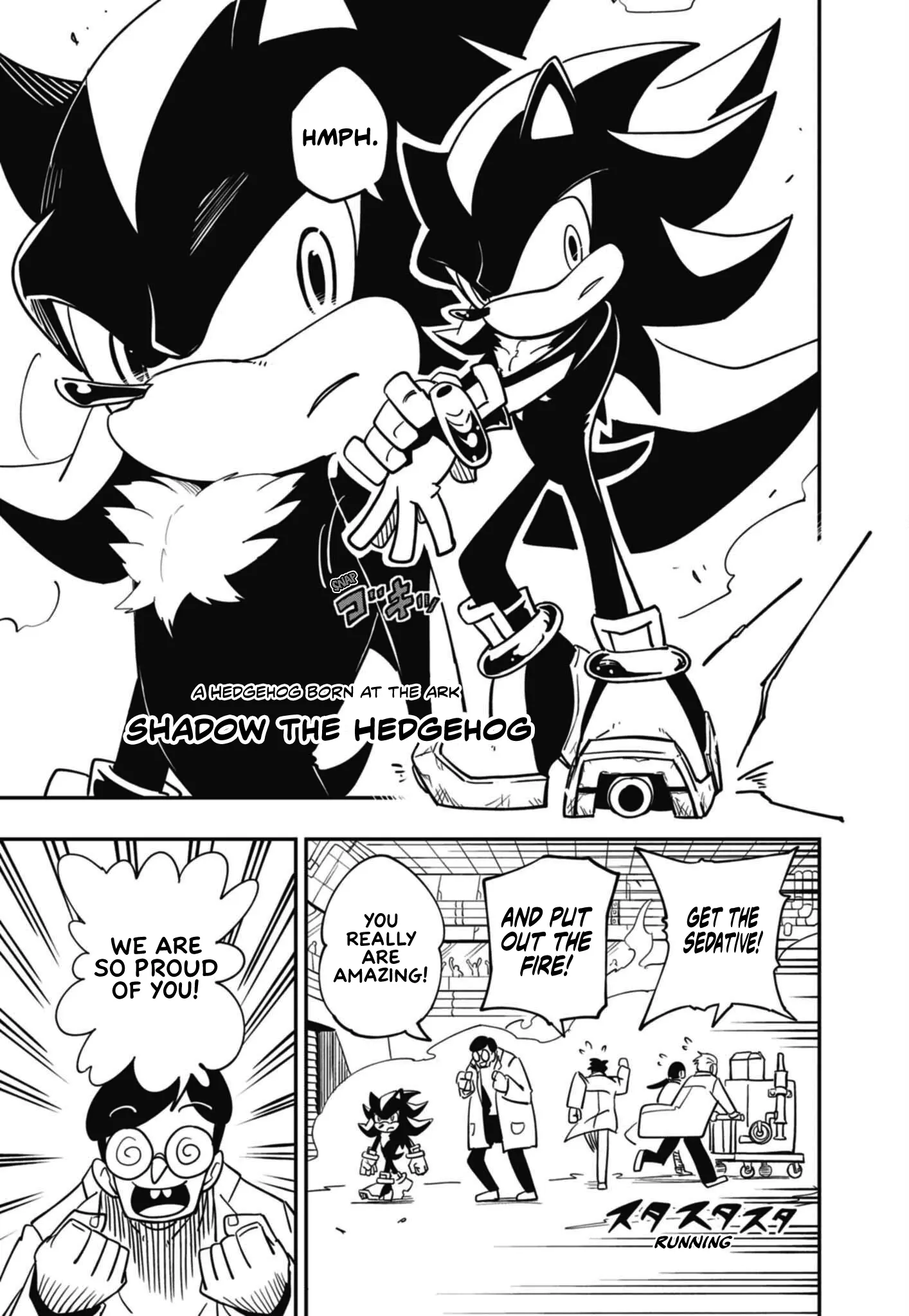 The Jet Black Hedgehog: Shadow The Hedgehog - Chapter 1