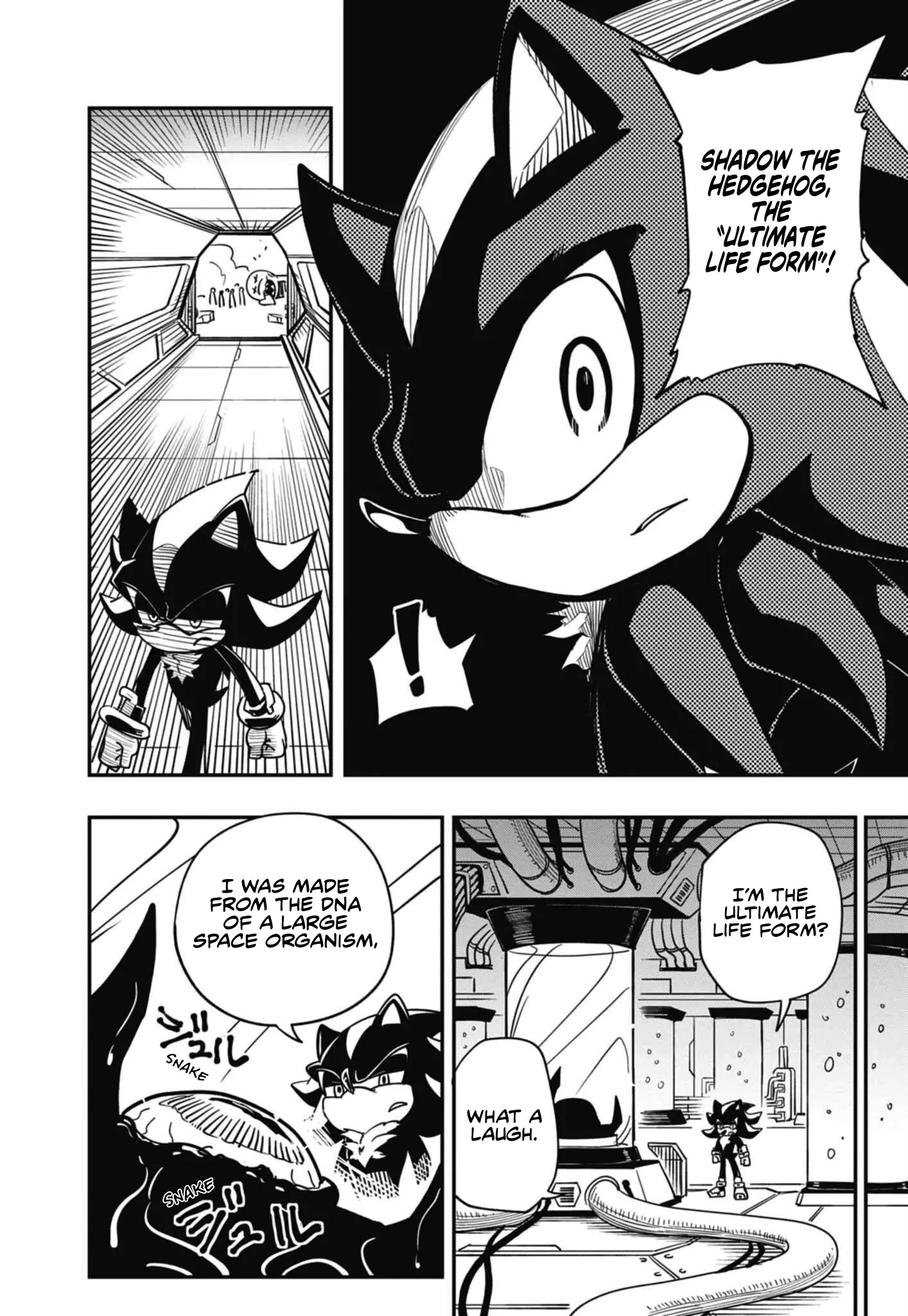 The Jet Black Hedgehog: Shadow The Hedgehog - Chapter 1