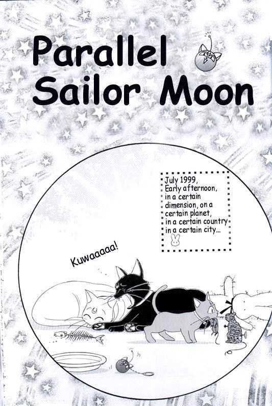 Sailor Moon - Vol.19 Chapter 9 : Extra: Parallel Sailor Moon