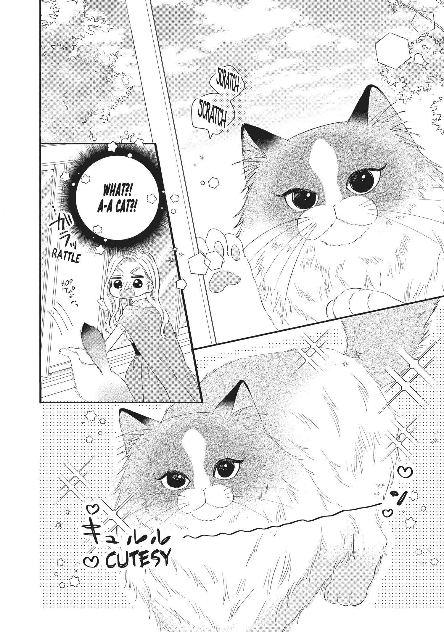 Cat And A Kiss - Chapter 20