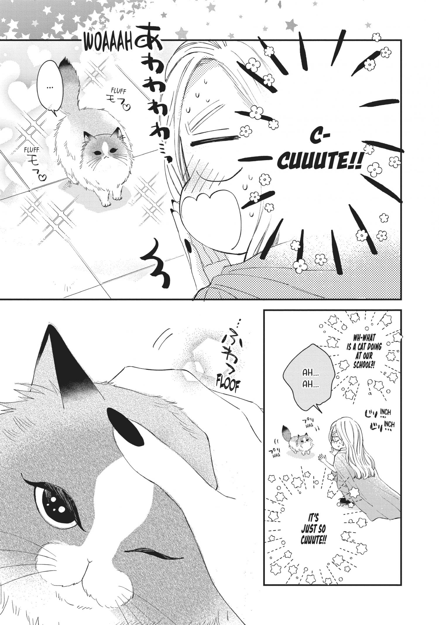 Cat And A Kiss - Chapter 20