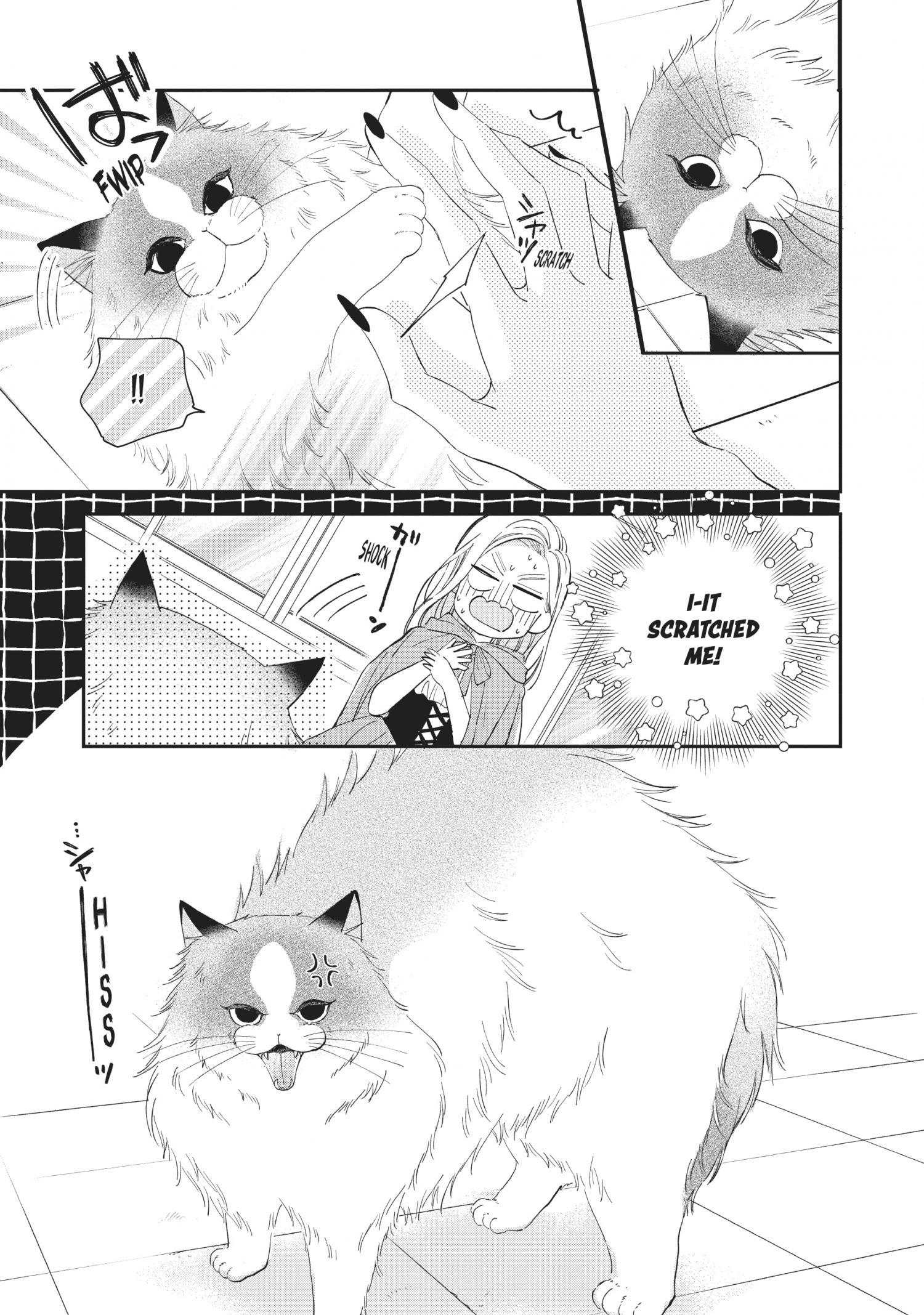 Cat And A Kiss - Chapter 20