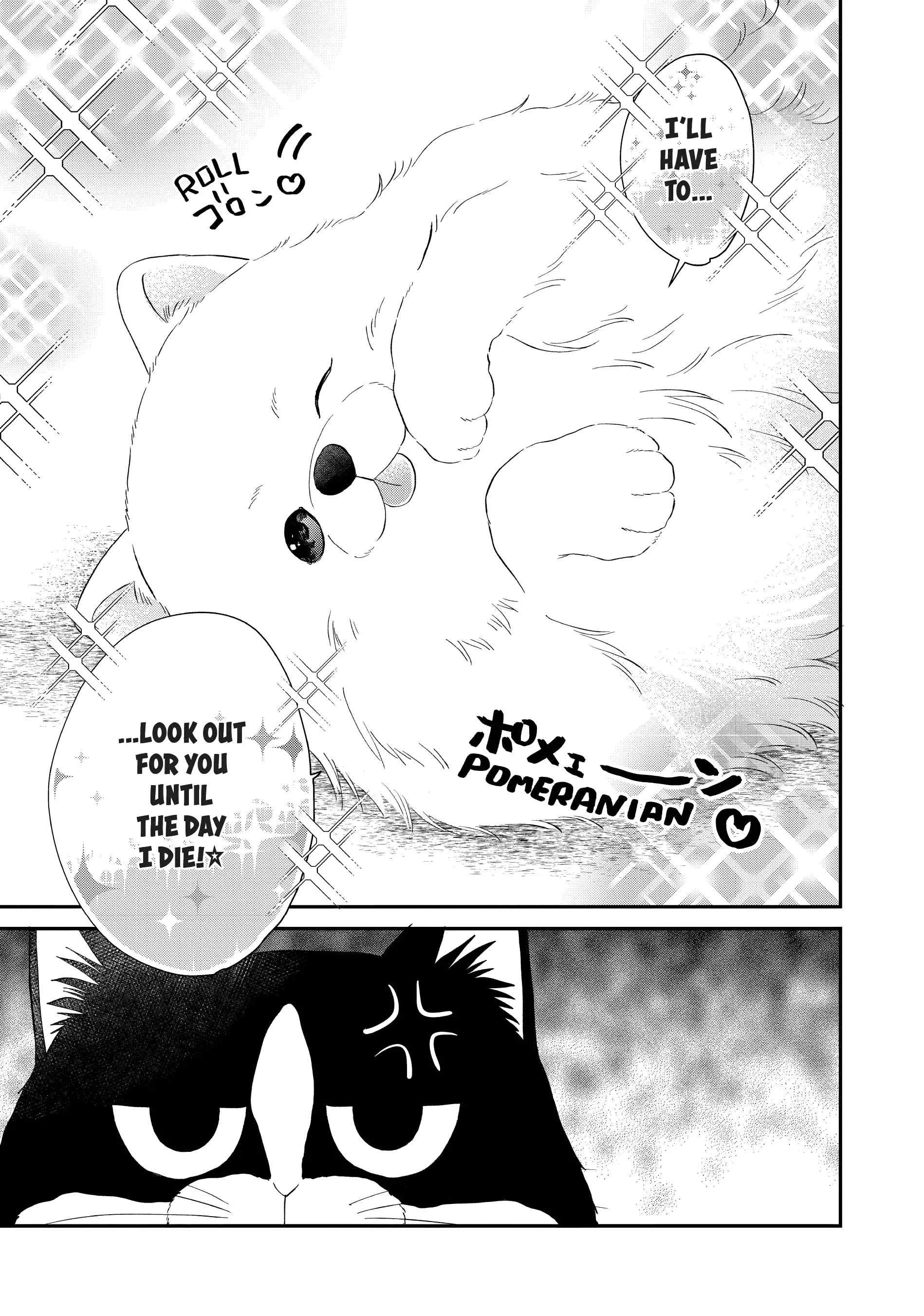 Cat And A Kiss - Chapter 24