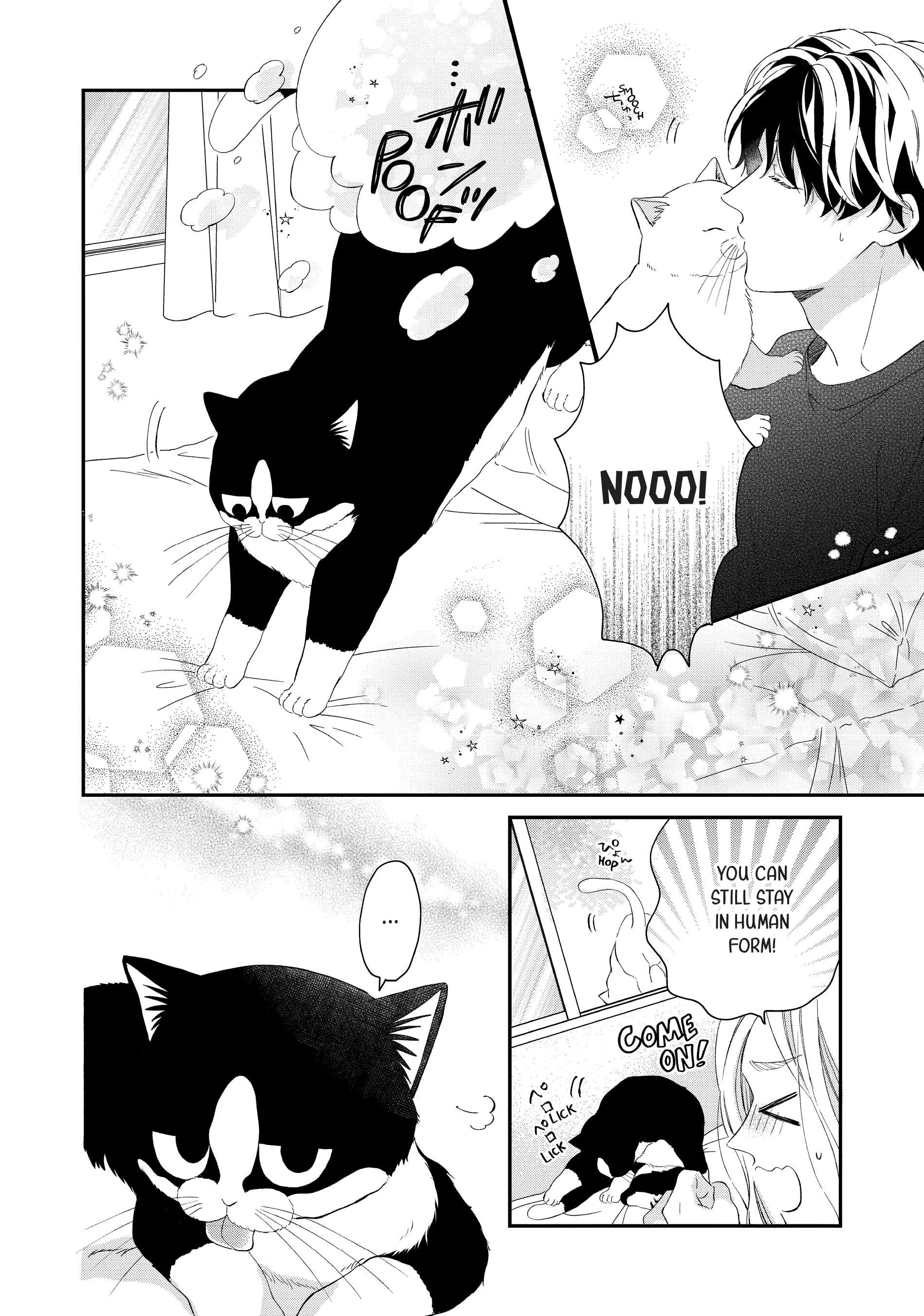 Cat And A Kiss - Chapter 24